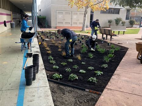 Belle Haven Elementary receives new rain garden