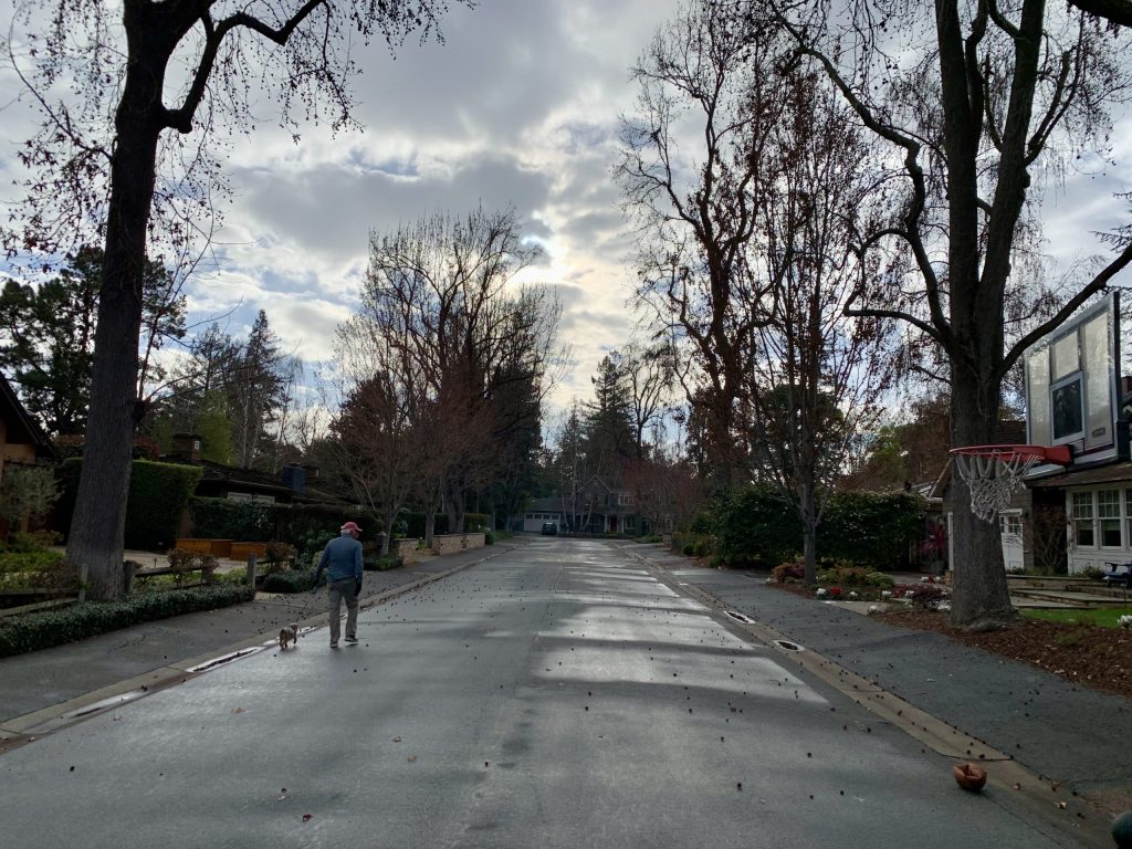 Finally — a bit of rain falls on Menlo Park