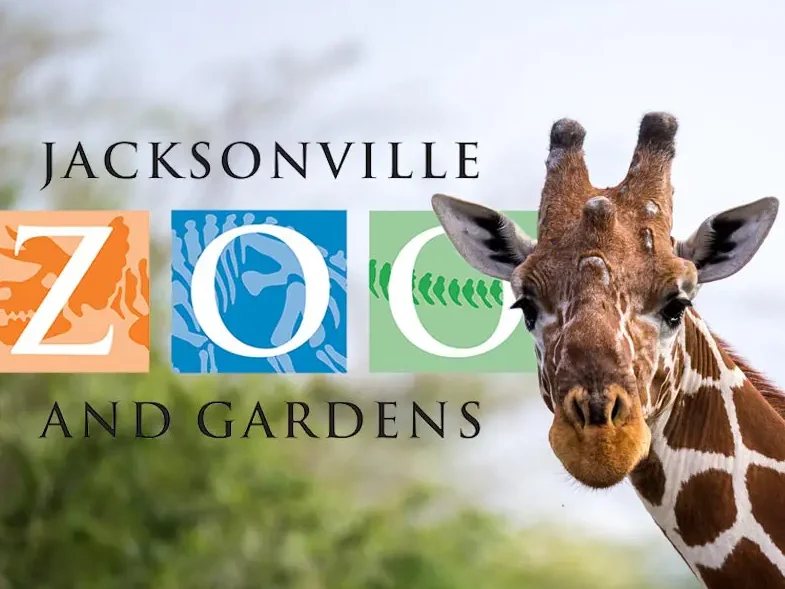 Tales Online: Storytime with Jacksonville Zoo set for March 2