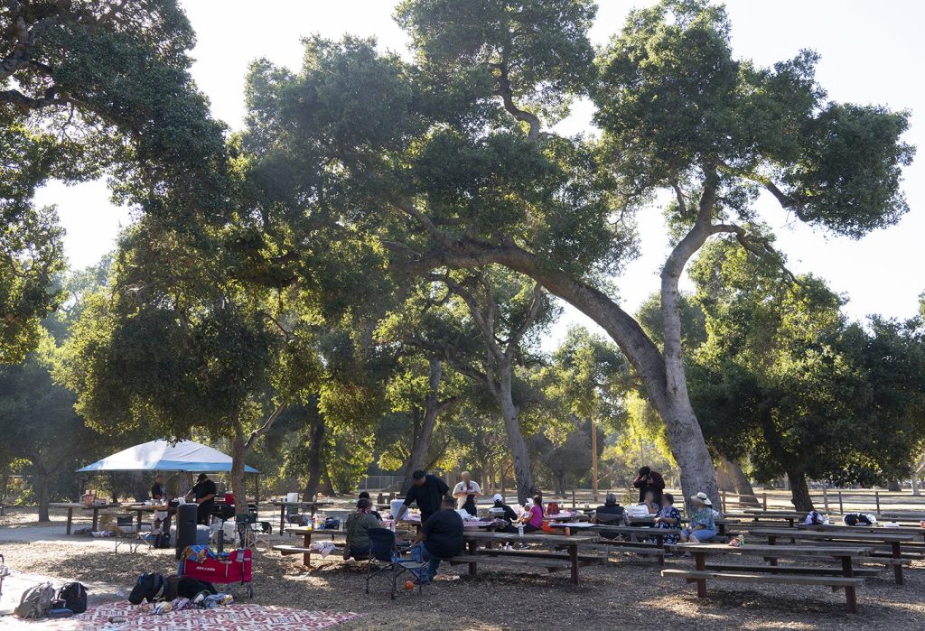 Support Flood Park with purchase of commemorative brick/paver