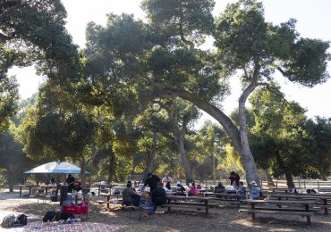 Support Flood Park with purchase of commemorative brick/paver