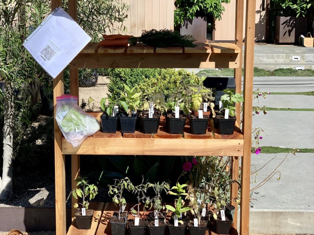 Spotted: Plants for sale on Poppy Avenue