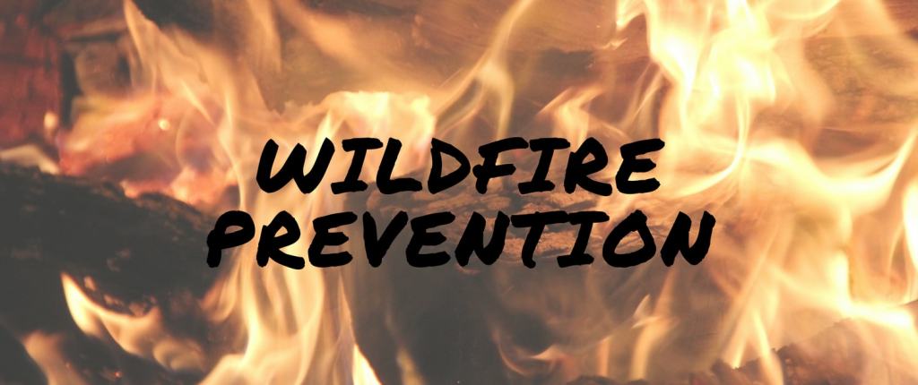 Portola Valley Wildfire Preparedness Fair set for May 14