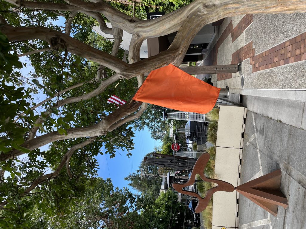Spotted: Orange flag at Art Ventures in downtown Menlo Park in support of gun safety