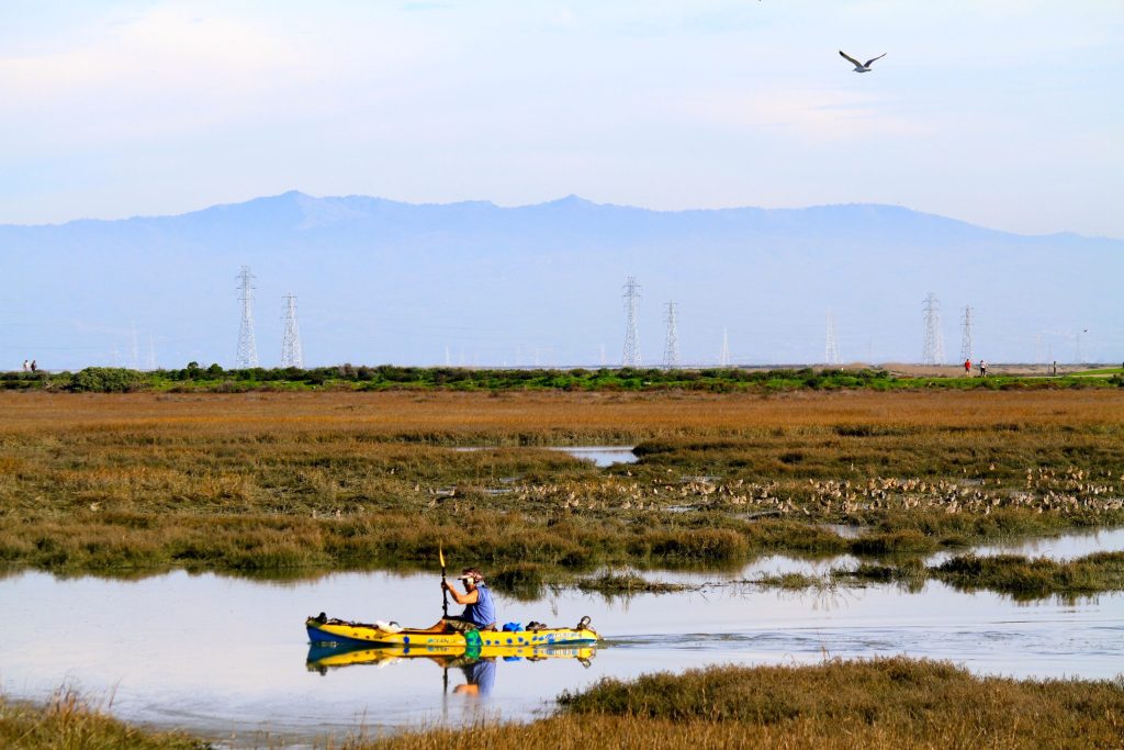 Bay Day Trail Challenge runs September 2 through October 1