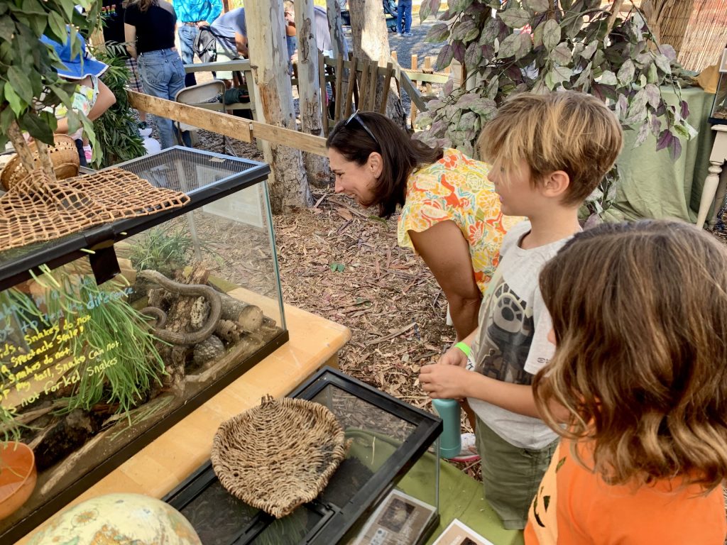 It’s officially Fall — Webb Ranch Pumpkin Patch is open