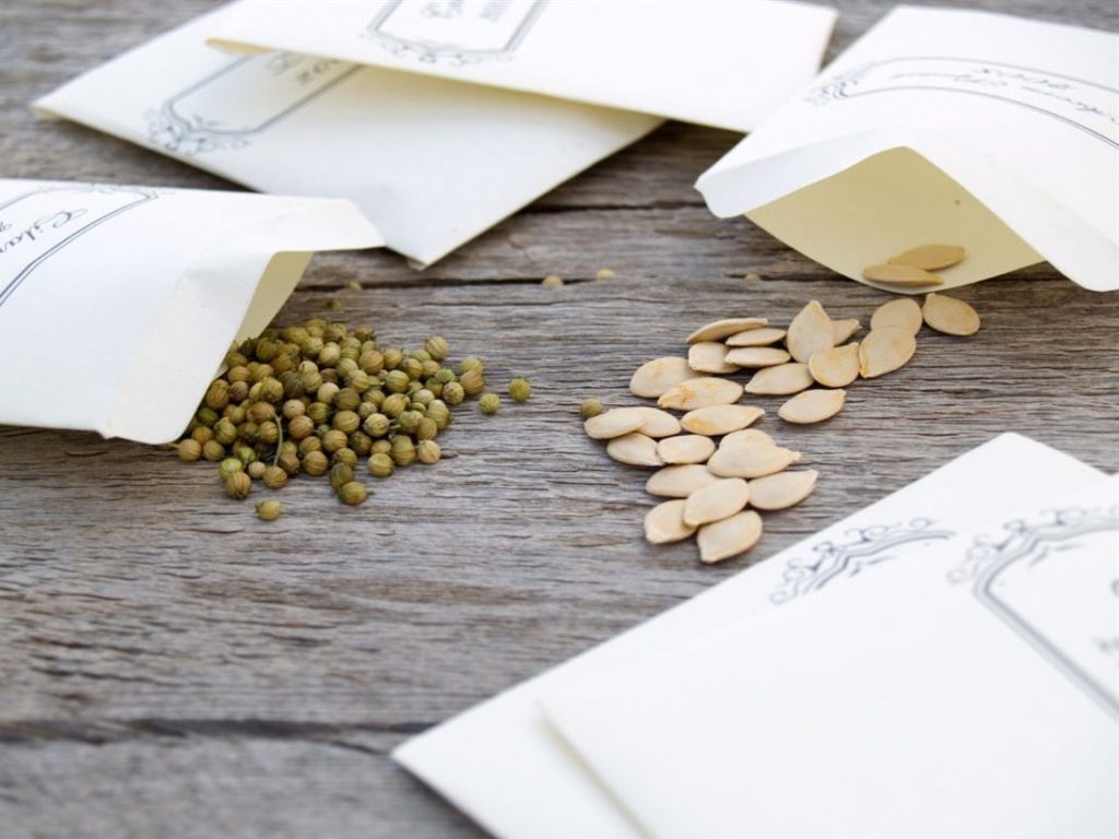 “Seed Saving” is Garden Talk topic on July 1