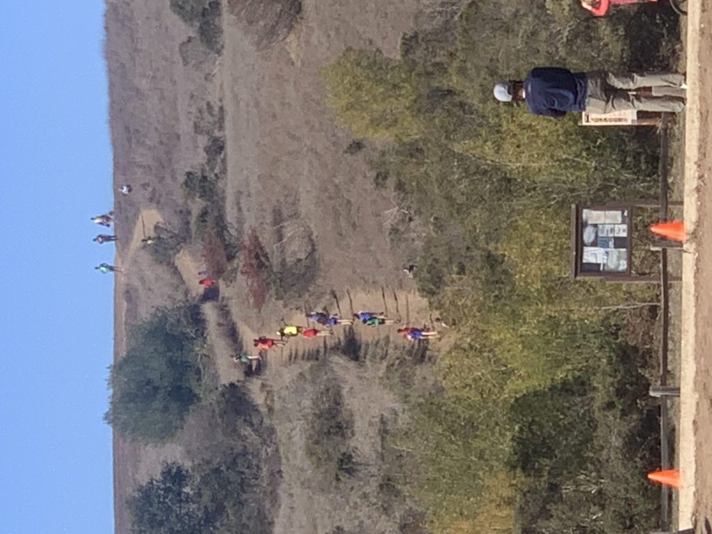 Success for Run Club Menlo Park runner — and event at Bedwell Bayfront Park on November 11