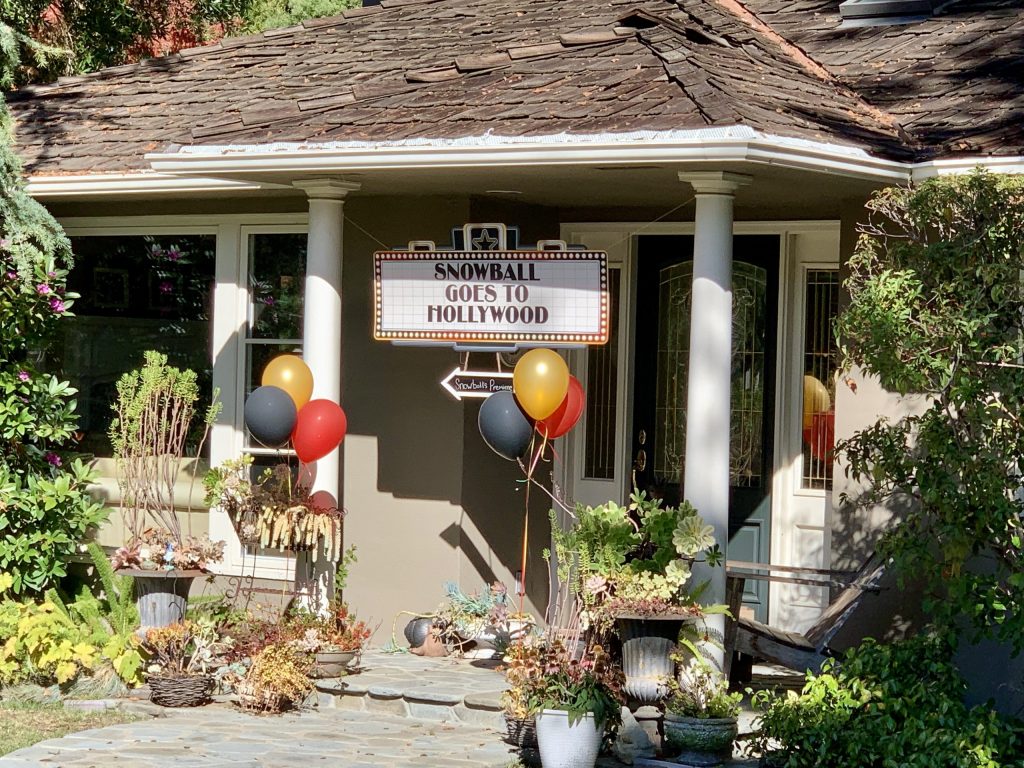 Spotted: Movie premiere for Snowball?