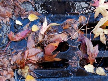 Ways to use and safely dispose of leaves in Menlo Park