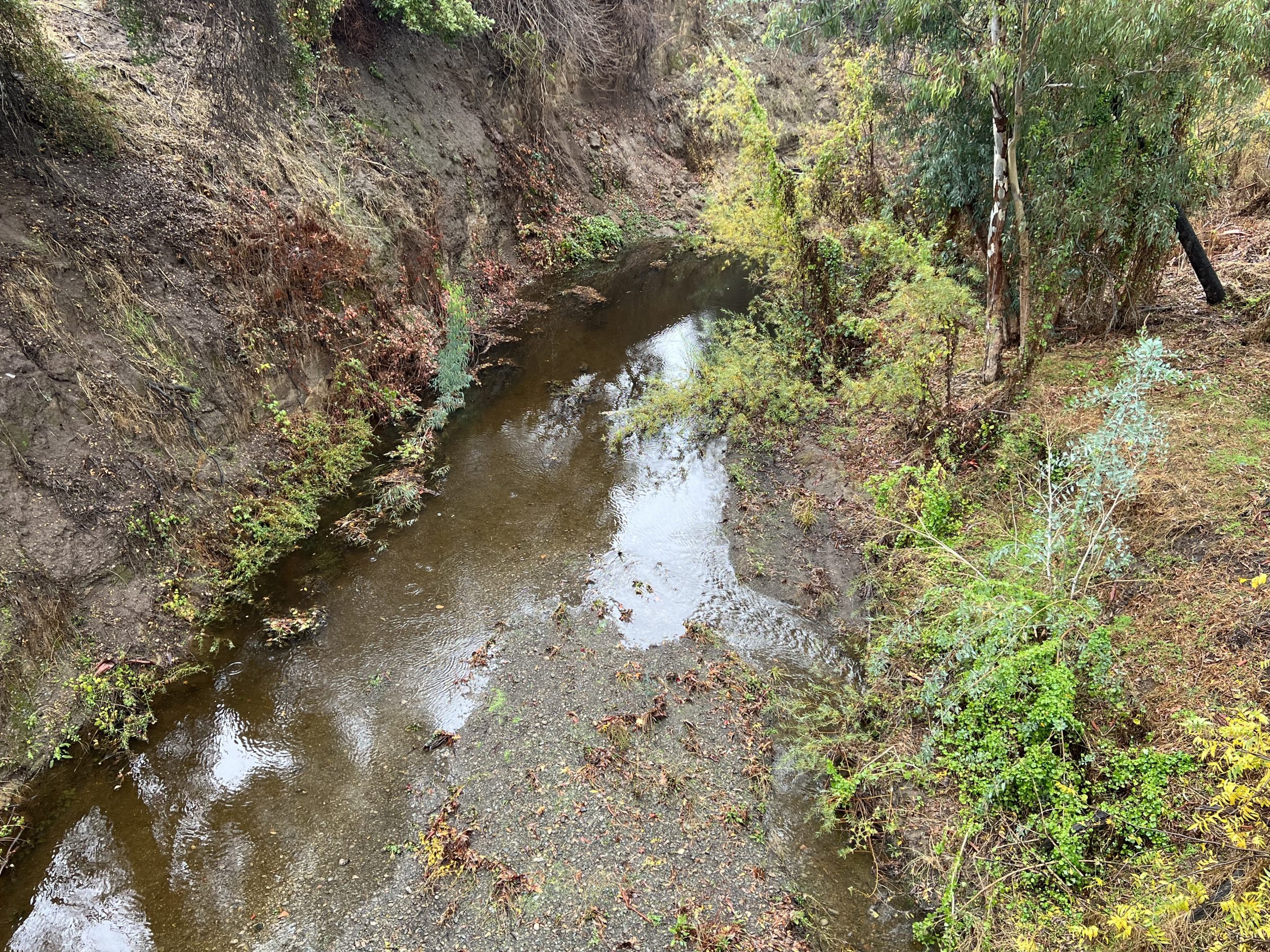 It's a rainy Saturday in Menlo Park InMenlo