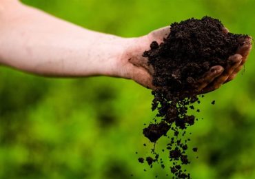 Free bilingual composting workshop on October 7 in Atherton