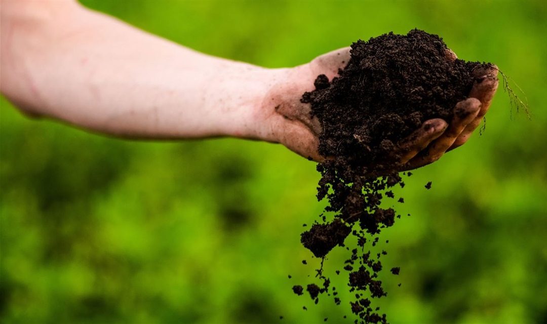 Free bilingual composting workshop on October 7 in Atherton