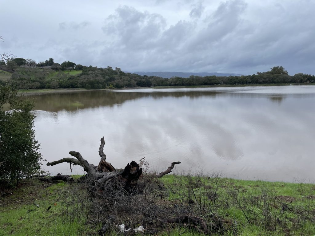 Rain brings the return of Lake Lagunita