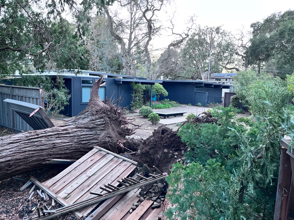 Windstorm downs trees and power lines in Menlo Park - InMenlo