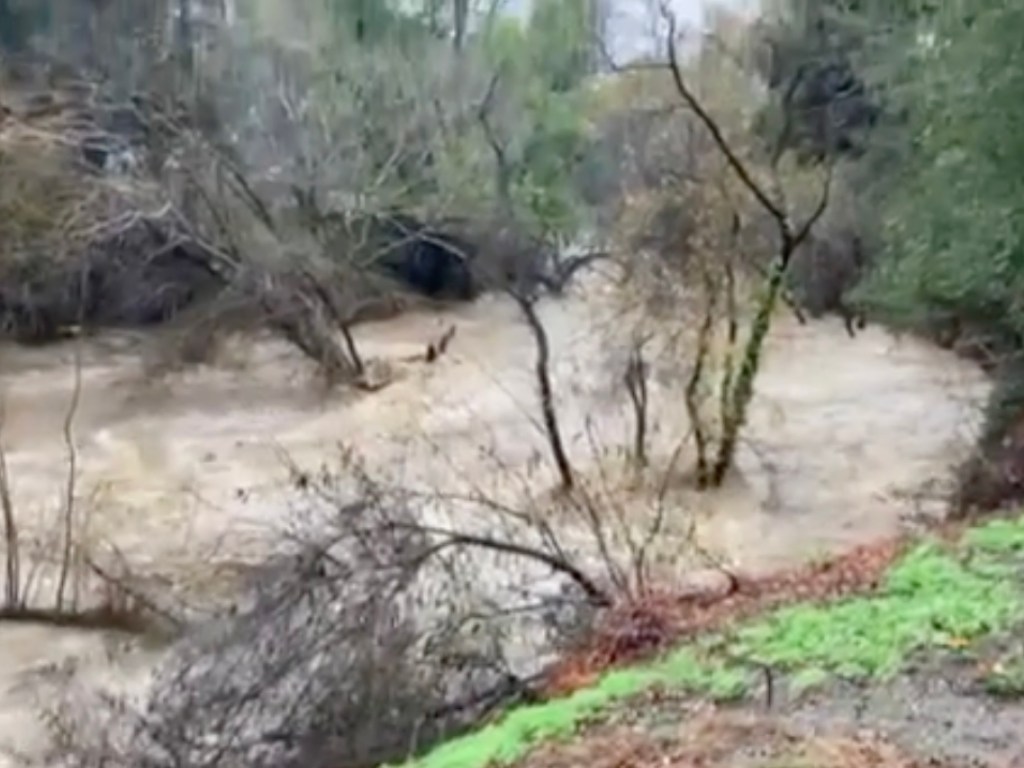 Spotted: Roaring San Francisquito Creek on December 31