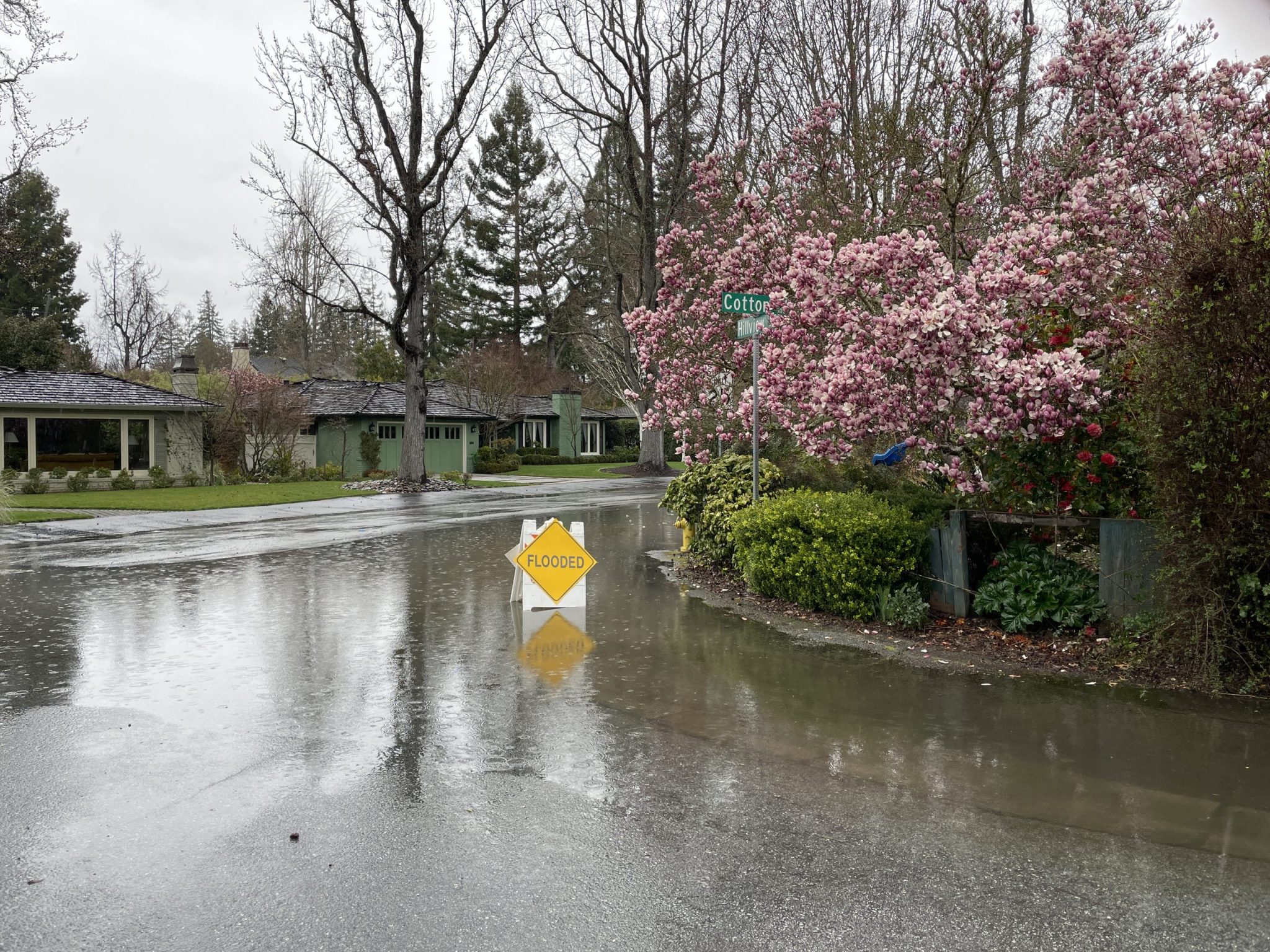 Days of predicted rain and wind begins in Menlo Park InMenlo