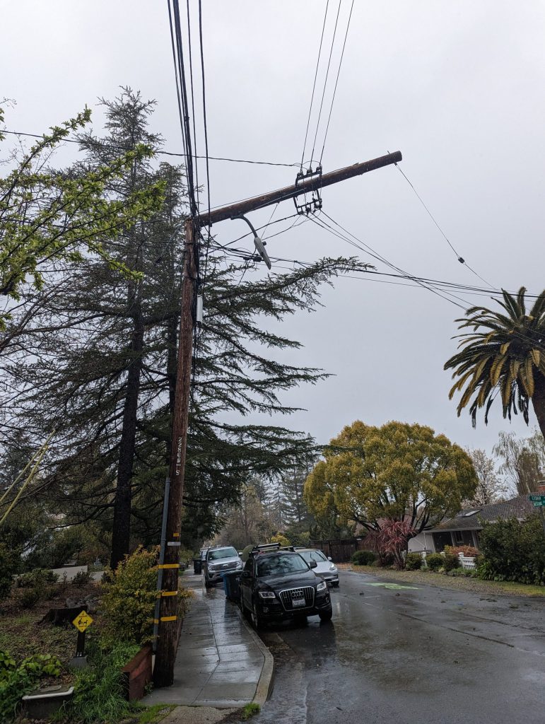 Redwood branch takes down power lines in west Menlo