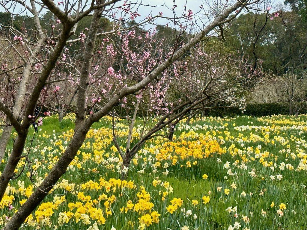 Drizzles add up to more rain in Menlo Park