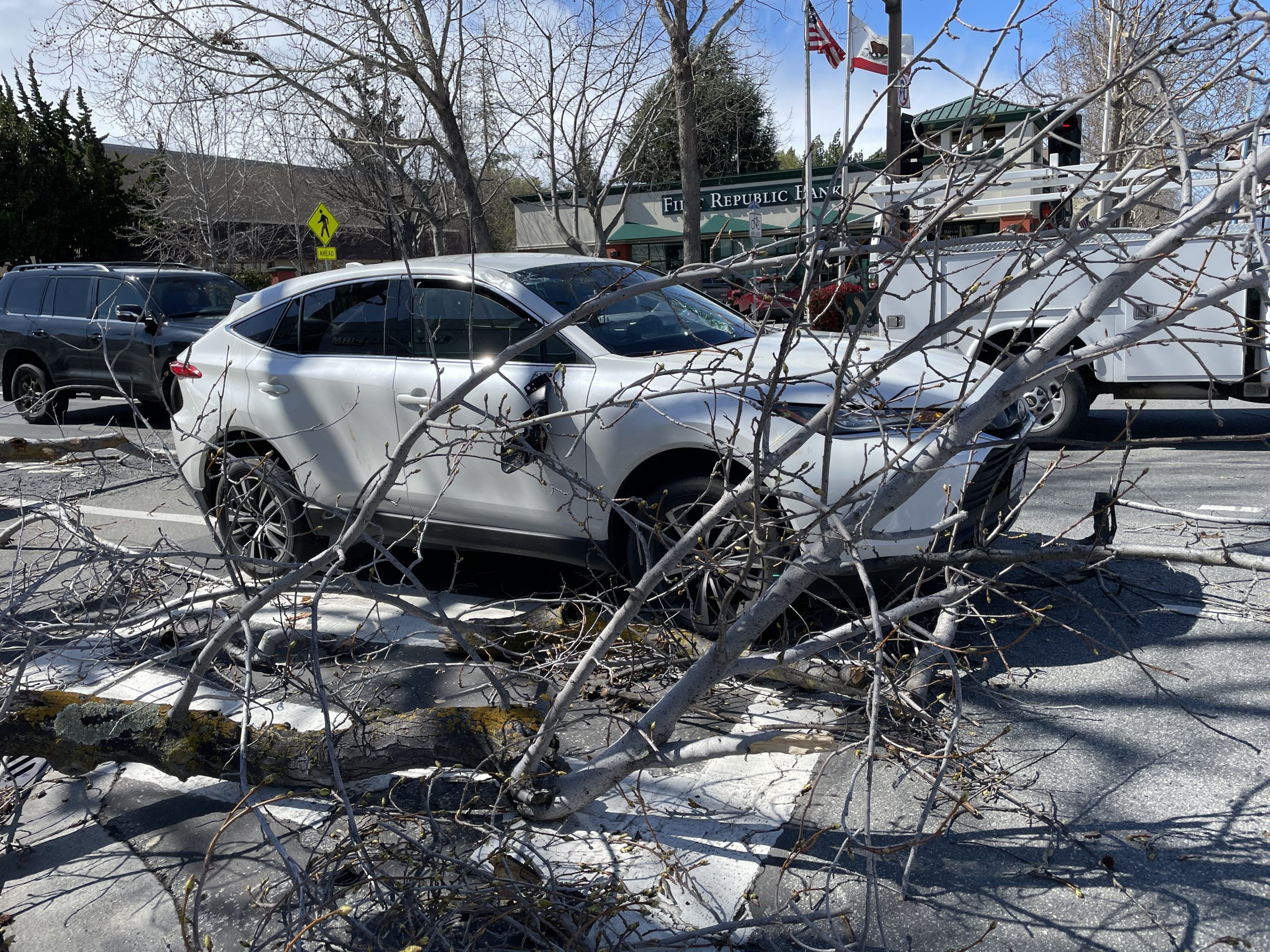 Downed trees/electrical lines cause power outages in Menlo Park and ...