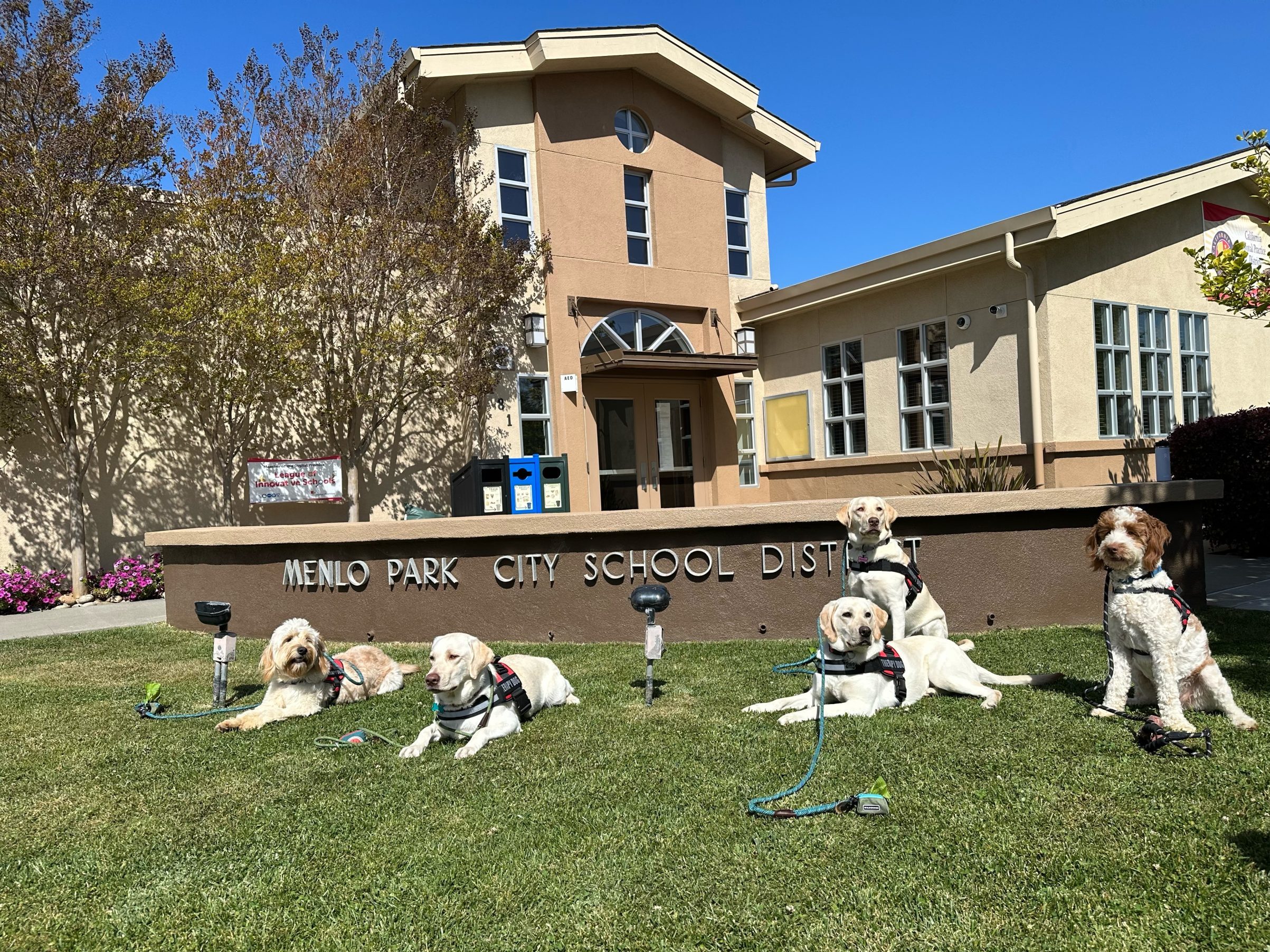 PAWZitivity dogs make their way onto Menlo Park school campuses InMenlo