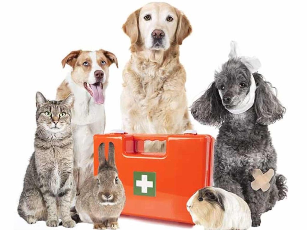 MPC Ready hosts free Pet Preparedness seminar on June 24