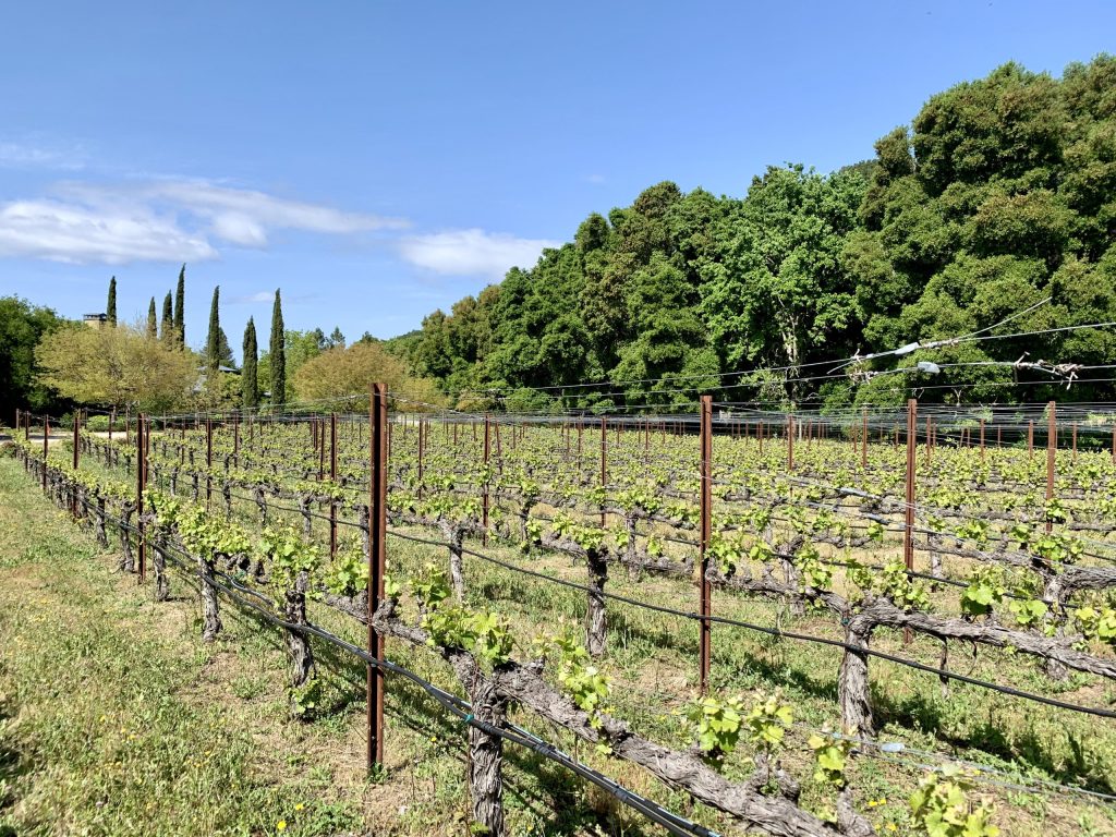 Portola Vineyards offers another great summer jazz line up