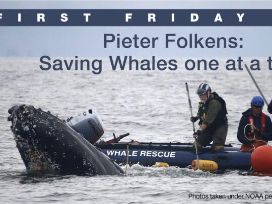 First Friday event on July 7 looks at how to save whales