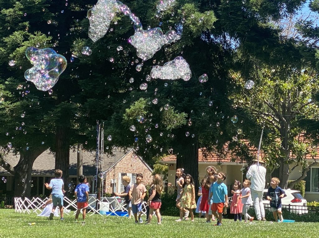 Spotted: Bubbles at Jack Lyle Park