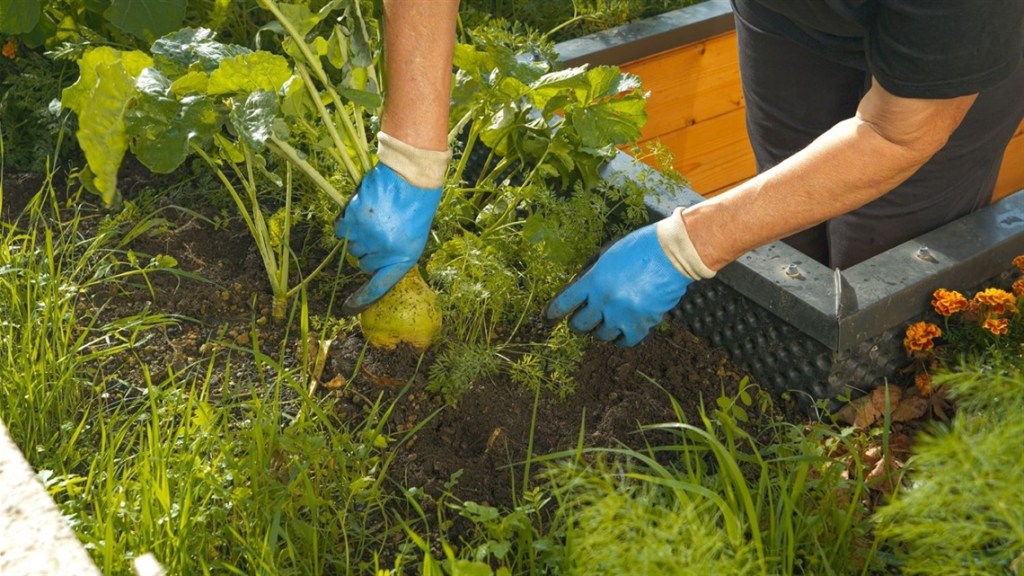 Permaculture is Garden Talk topic on September 6