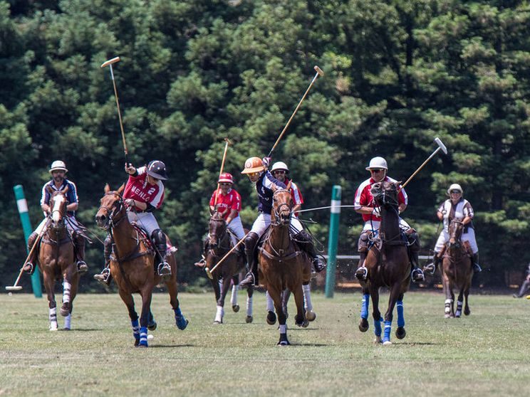 Menlo Polo Campbell Cup RIDES FOR VETS Charity Polo Tournament set for August 20