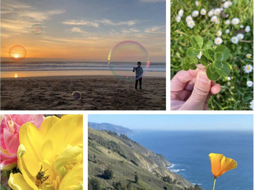 Frances Freyberg photographs on display at Portola Art Gallery in September