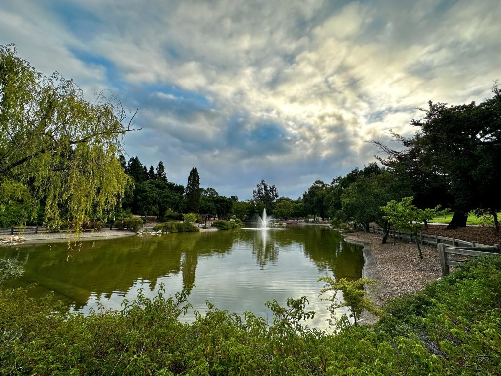 Spotted: Fountain back on at Sharon Park pond