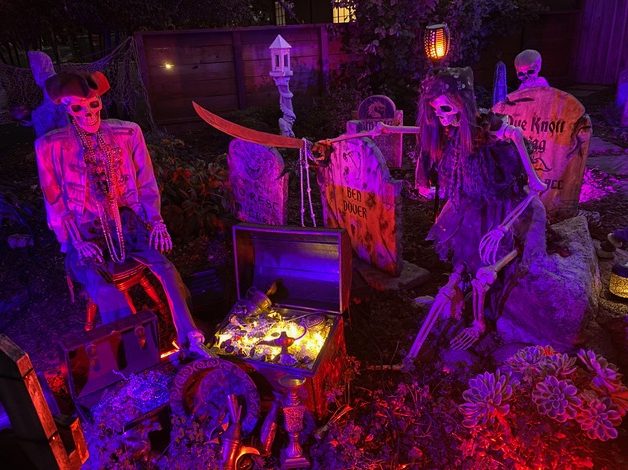 Dragon Vane Cove open for viewing on October 28 and 31