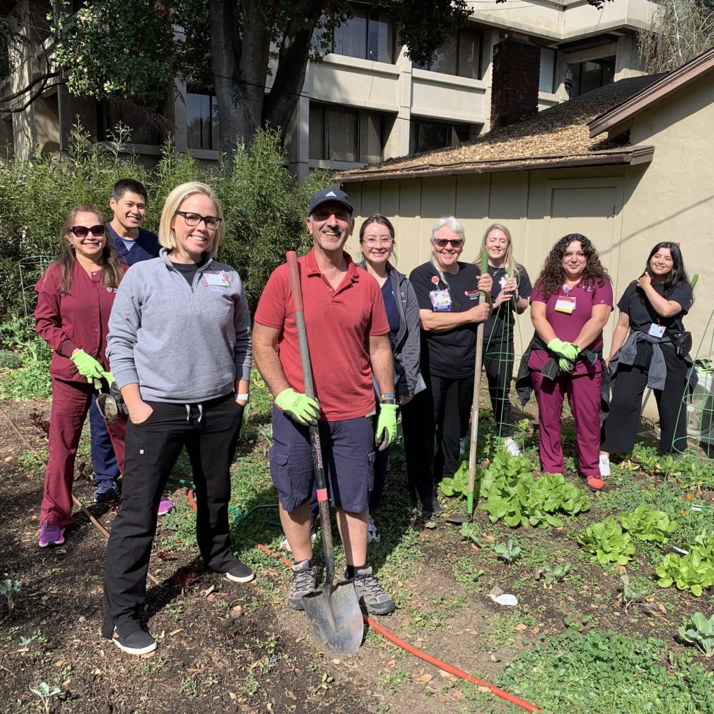 Vegetable garden at Menlo Medical Clinic reappears