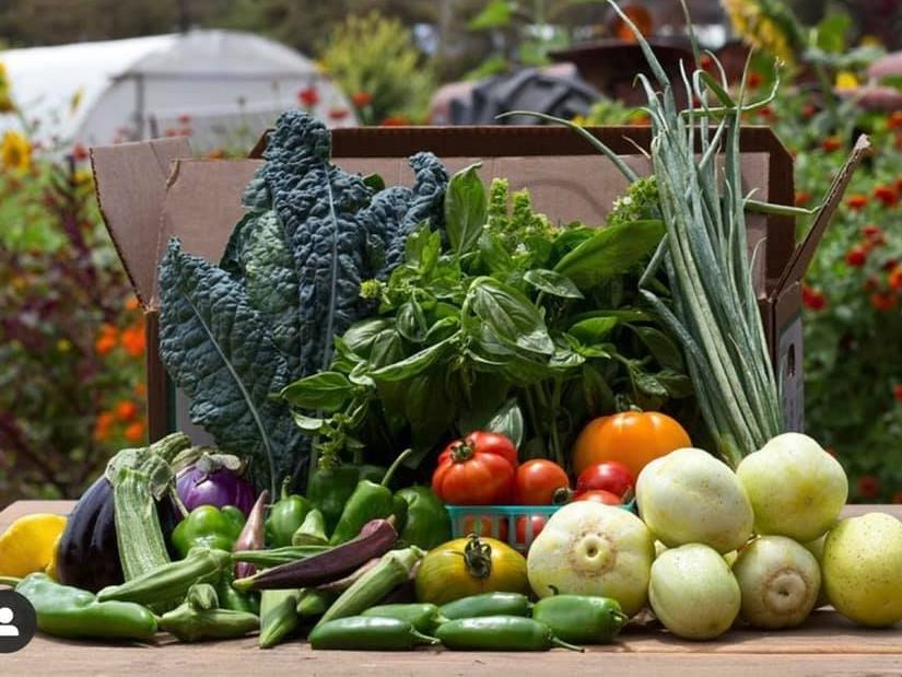 Last minute Thanksgiving shopping at Portola Valley Farmers Market on November 22