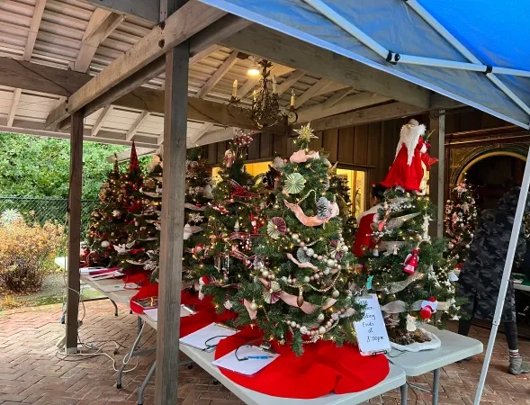 Allied Arts Christmas Market set for December 2