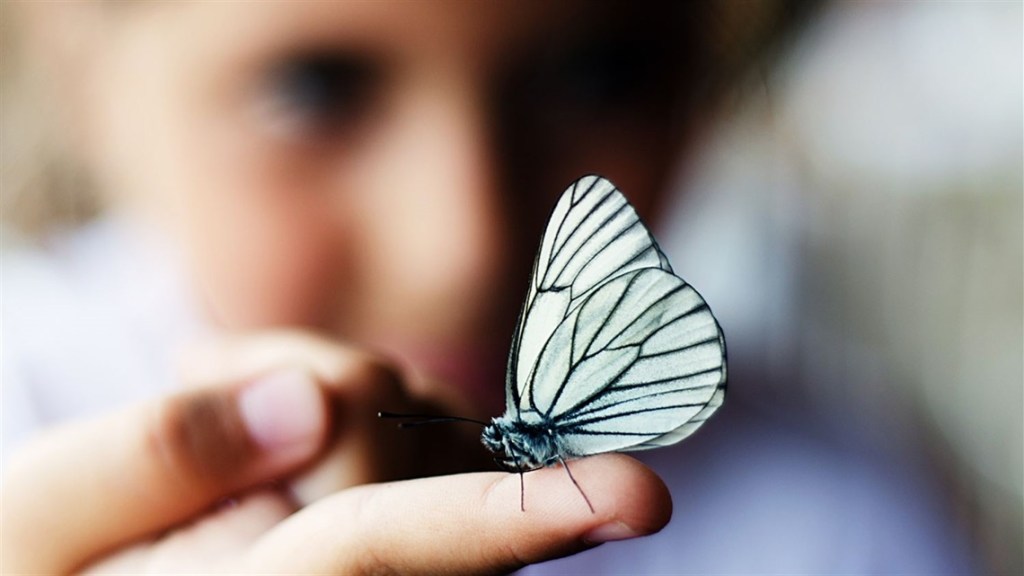 Beetlelady discusses metamorphosis on January 21