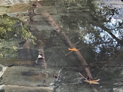 Finally — Menlo Park gets pounded by rain - InMenlo