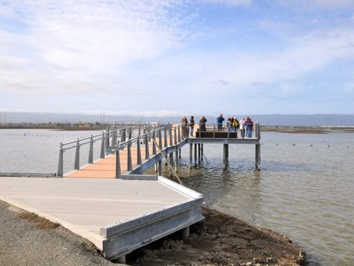 Bird walk at Pond SF 2 on February 16