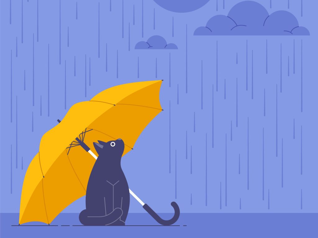 First the thunder, then the rain