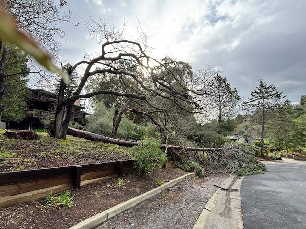Big storm arrives in Menlo Park