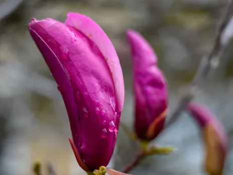 Large cloudbursts overnight yield to blue skies in the morning
