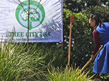 Menlo Park celebrates Arbor Day with mayoral tree planting