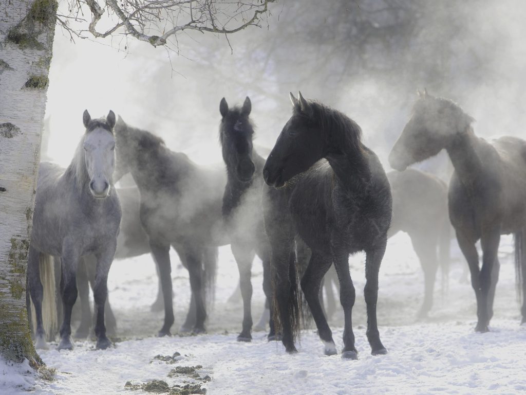 Photographer Larry Calof is featured artist at Portola Art Gallery in May