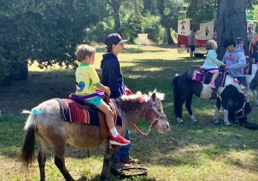 Portola Valley Horse Fair delights young and old