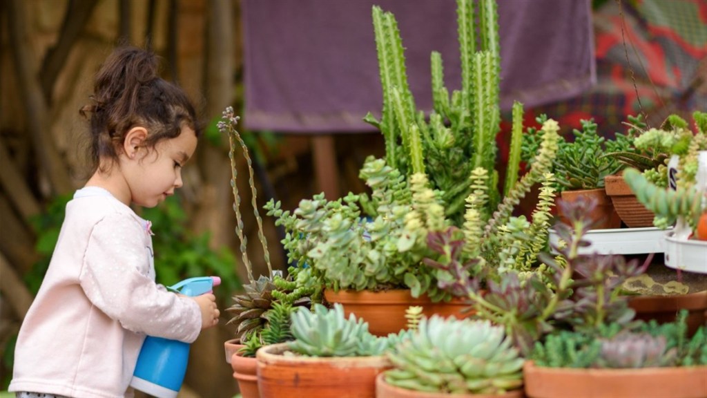 Caring for Succulents is Garden Talk on July 3