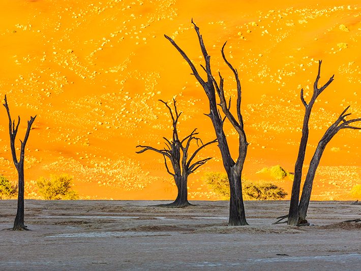 Photographer Klaus Porzig has a passion for creating beautiful color prints