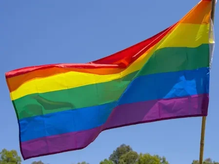 LGBTQ+ San Mateo County: History’s Mysteries is Menlo Park Library topic on June 18