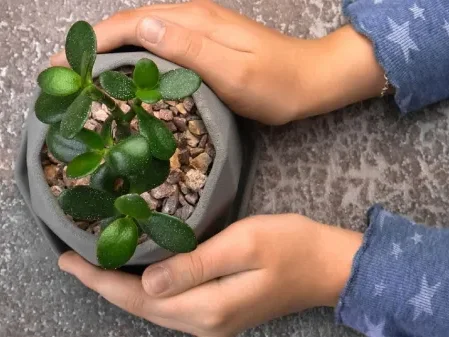 Teen Succulent Pot Painting on July 27